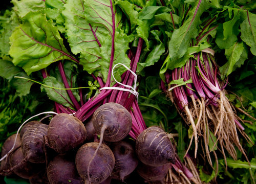 Bunches Of Beets