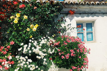 Fototapeta na wymiar Flowers in facade of Portuguese house