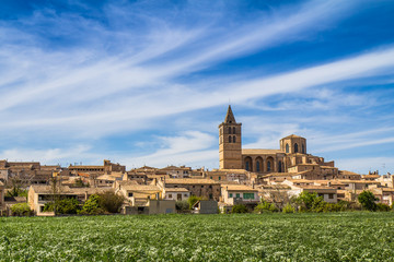 Fototapeta premium Mallorca - Spain