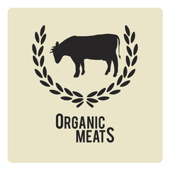 organic meat illustration over color background