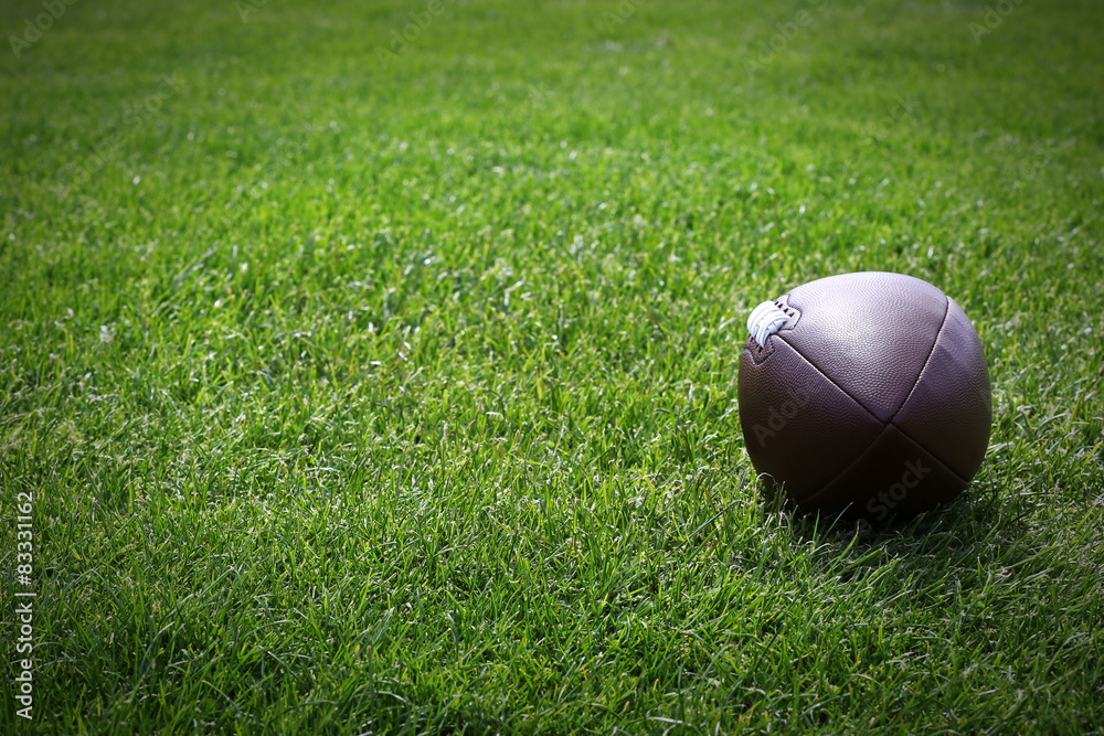 Canvas Prints Rugby ball on green field