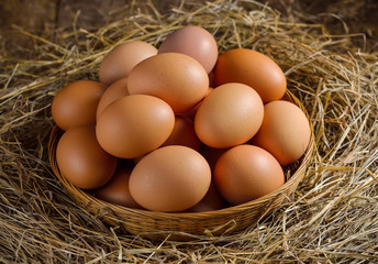  egg in a basket on the dried grass