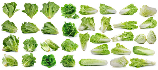 cos fresh chinese cabbage and lettuce on white background