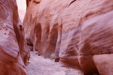 Path in the canyon rocks.