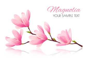 Flower background with blossom branch of pink magnolia. Vector