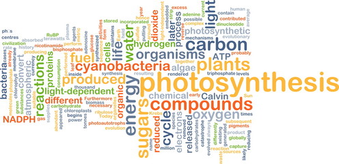Photosynthesis background concept