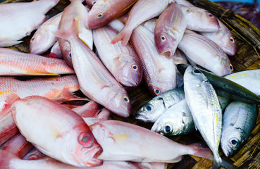 fresh fish on asian street market