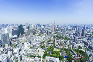 Fototapeta premium Pejzaż miejski Tokio Roppongi Wieżowiec Tokyo tower and townscape błękitne niebo świeży zielony widok z lotu ptaka