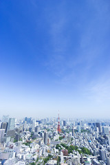 東京都市風景　六本木超高層ビルから望む東京タワーと町並　青空　新緑