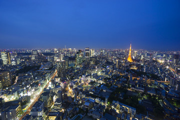 東京都市風景　六本木超高層ビルから望む東京タワーと東京スカイツリーと東京街並全景　夜景