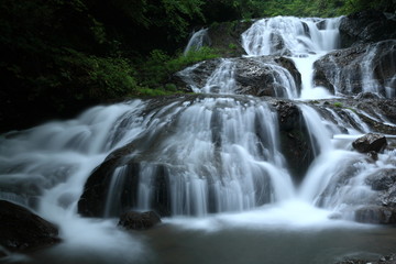 Obraz premium 魚止めの滝