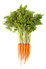 fresh carrot on white background