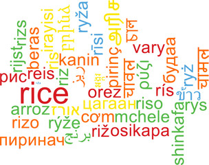 Rice multilanguage wordcloud background concept