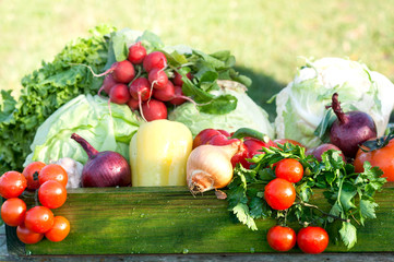 fresh organic vegetables