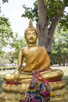 images of buddha
