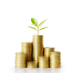 Trees growing on pile of coins money