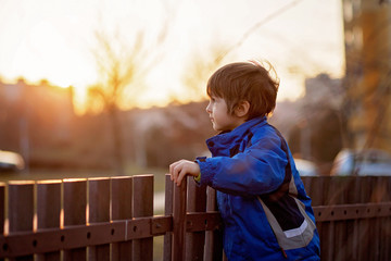Adorable little boy, standing next to a fence, watching the suns