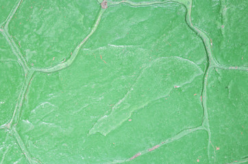 Fototapeta premium Green floor