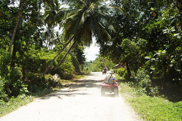 Tropical forest ATV's in Cayo Levantado, Dominican Republic. © Mircea Dobre