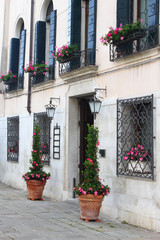 Fototapeta na wymiar Stylish entrance with flowers. 