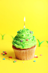 Birthday cupcake with butter cream and candle 