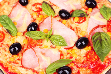 Delicious fresh pizza