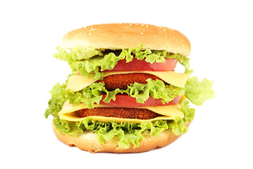 Big burger solated on white