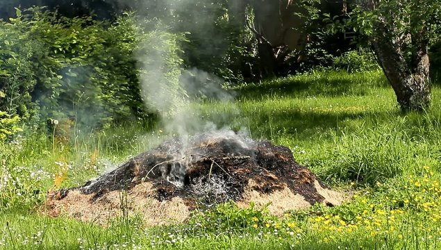 Feu de jardin 3