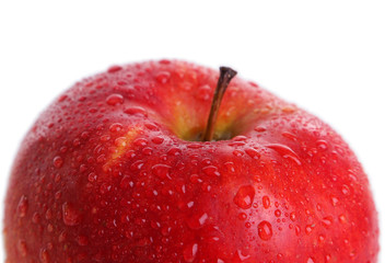 Red apple on white background