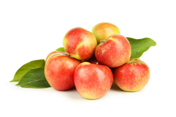 Red apples isolated on white