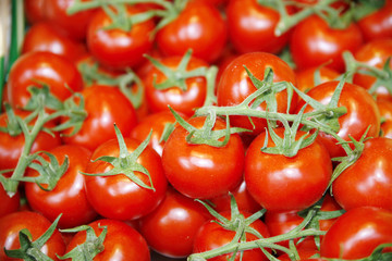 Fresh red tomatoes as a background