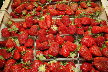 Freshly picked strawberries on market stall