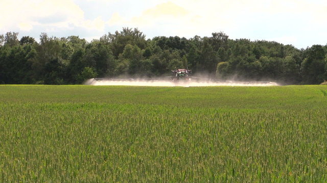 Farmer with tractor spray wheat farm field in summer