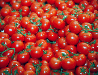Fresh red tomatoes as a background