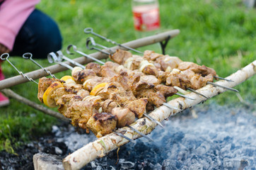 skewers on nature