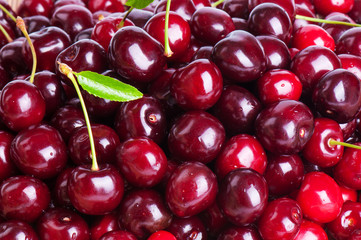 ripe sweet cherry