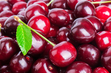ripe sweet cherry