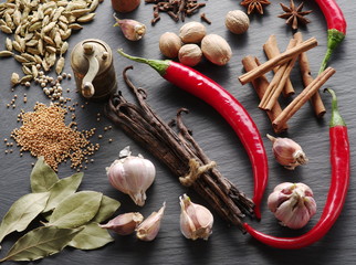 Different spices on rocked table.