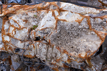 2011 EasternJapanGreatEarthquake tsunami after a year 