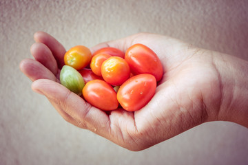 handful of cherry tomatoes 
