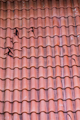 Broken Roof Tiles