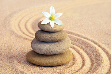 Stone balance and flower on the sand - obrazy, fototapety, plakaty
