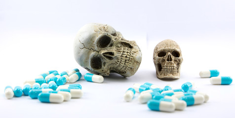 Still Life with a Skull concept on the art.