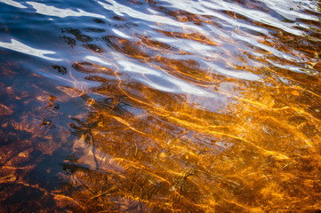 Fototapeta na wymiar Transparent clear water lake