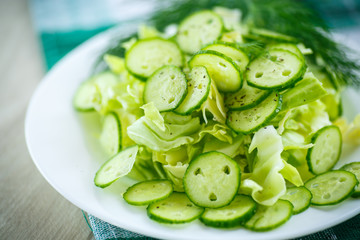 spring salad with cabbage and cucumbers