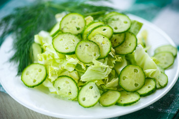 spring salad with cabbage and cucumbers