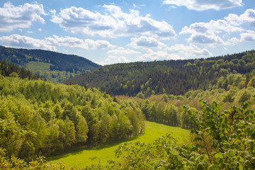 Fototapeta na wymiar Thüringer Wald Schwarzburg_02