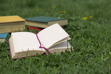 Open diary with books lying on green grass in park 