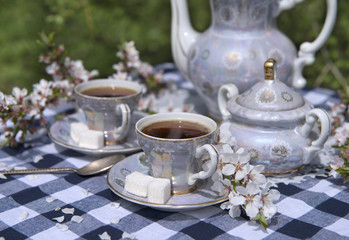 Still life with tea set and flowers of cherry tree