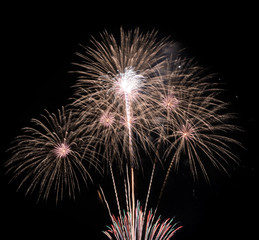 Obraz premium Colorful fireworks in the black sky